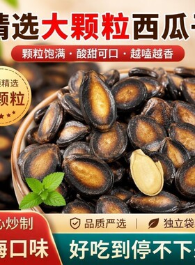 话梅味西瓜子追剧必备酸甜开胃解馋零食休闲年货聚餐酒席小吃批发