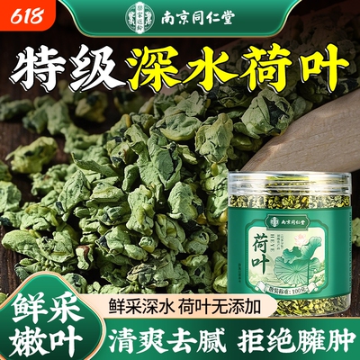【告别油腻】微山湖特级荷叶茶