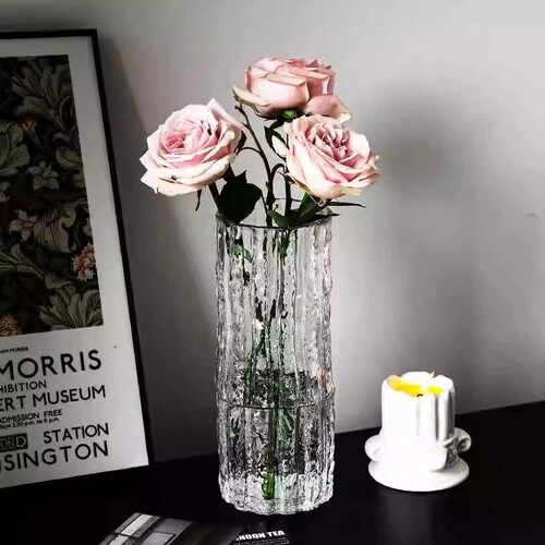 大号轻奢玻璃花瓶透明水养