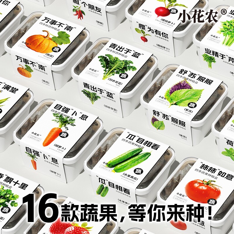 小花农四季蔬果情绪种植盒西红柿学生幼儿园推荐草莓南瓜水果玉米