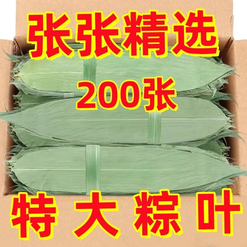 端午粽叶新鲜粽子叶特大号包粽子专用的叶子干叶棕叶商用现摘真空