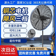工业电风扇强力落地扇大功率除甲醛壁挂式摇头牛角扇大风力车间厂