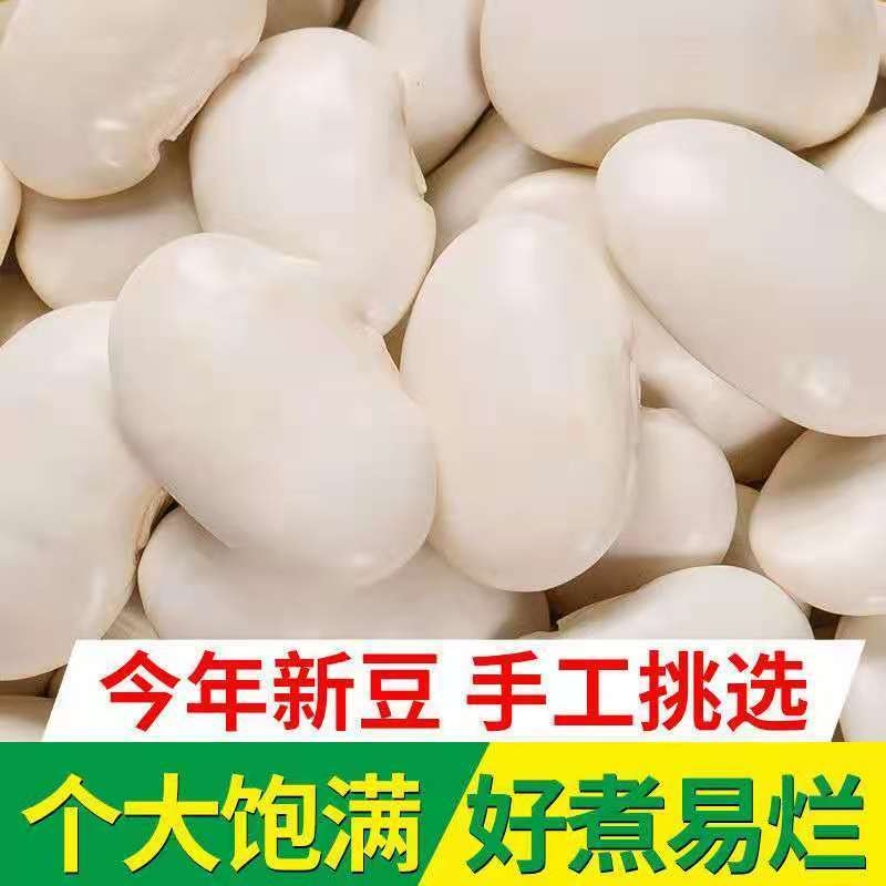 云南白芸豆中颗新货大白豆大雪豆炖汤炖排骨白云豆芸豆2025
