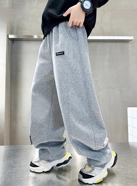 儿童男童加绒裤子秋装2025休闲裤弯刀裤秋冬大童卫裤男孩春秋灰色
