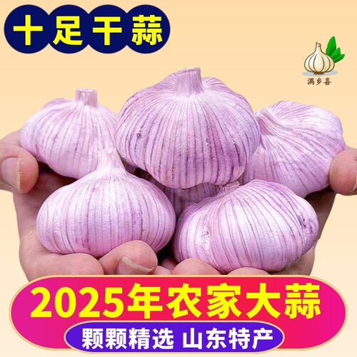 【今日特卖】山东紫皮大蒜干蒜批发红皮大蒜子优质2025年便宜大蒜
