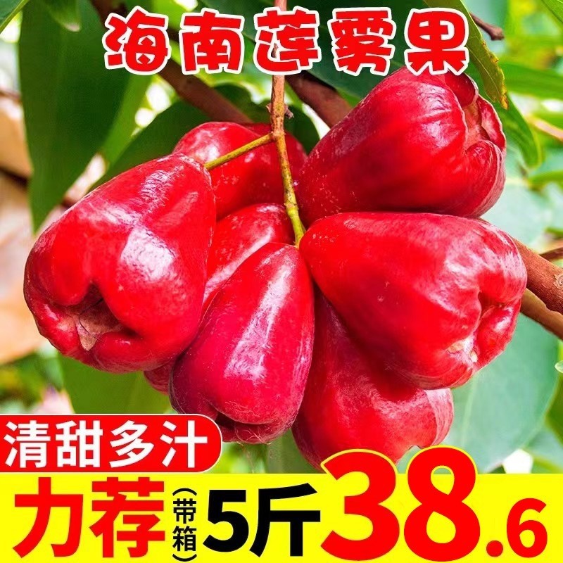 正宗海南莲雾果新鲜水果当季新鲜采摘现发孕妇水果产地直发包邮,水产肉类/新鲜蔬果/熟食,莲雾,淘宝优惠券,粉丝福利购,淘宝优惠卷