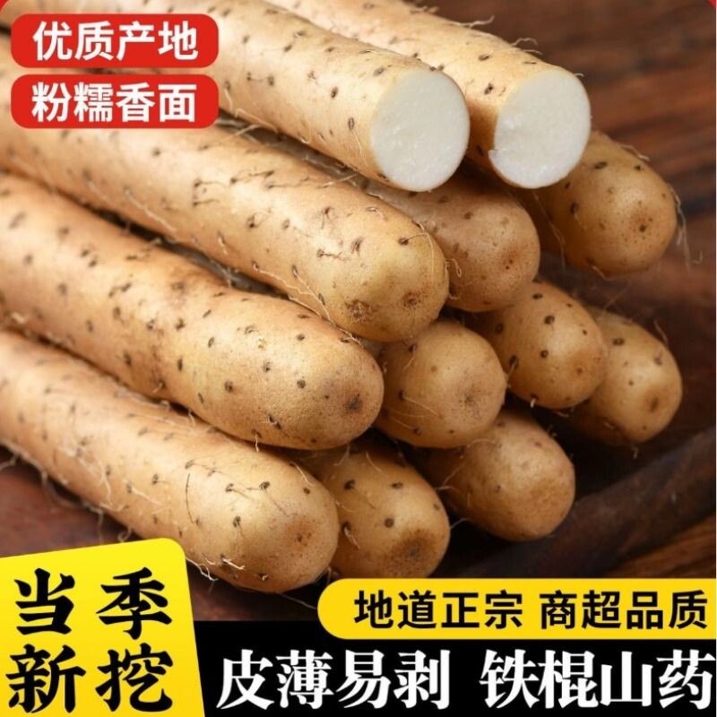正宗铁棍山药小白嘴山药新鲜现挖麻山药宝宝辅食老少皆宜软糯当季