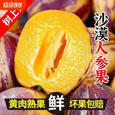 甘肃沙漠民勤人参果当季新鲜大果肉坏损现摘现发5斤树上熟年货节