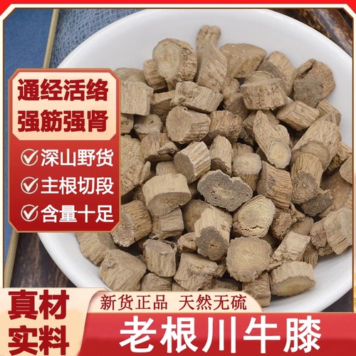 野生川牛膝深山老根牛膝中药材新货甜牛膝川牛夕无硫川牛漆根干货