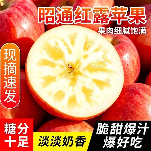 现货云南昭通红露苹果现摘当季新水果丑苹果产地冰糖心富士脆甜