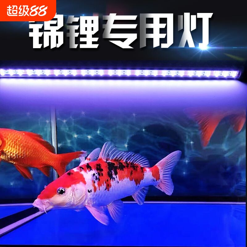 亿得胜三基色增色节能防水鱼缸灯图片
