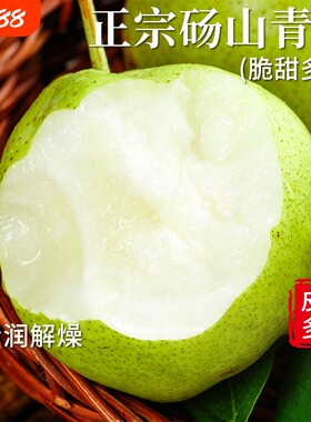 砀山青梨  翠玉梨子新鲜水果当季现摘现发脆甜多汁当季头茬