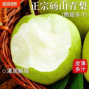 顾一！安徽宿州砀山青皮梨净重4.5斤