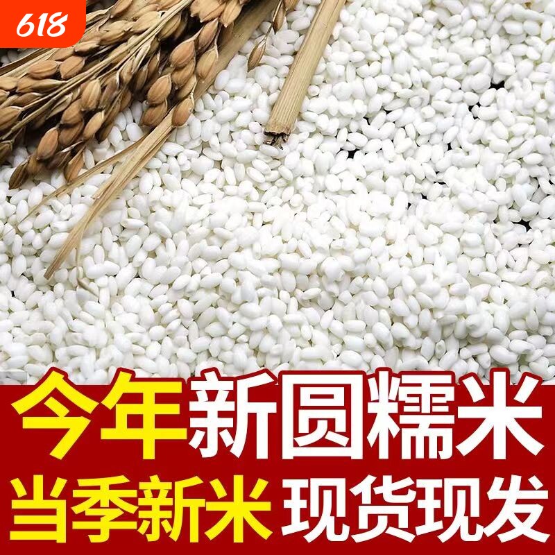 白糯米新米包粽子软糯圆糯米酒酿糍粑糯米优质当季正宗糯米批发
