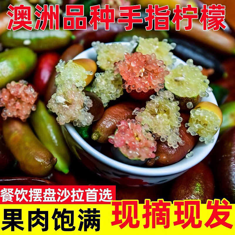 新鲜手指柠檬稀有澳洲品种拇指橙水果鱼子酱西餐食材摆盘顺丰可选