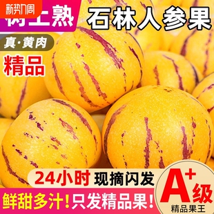 包邮 云南石林人参果新鲜水果树熟人生果当季 水果产地现发整箱9斤