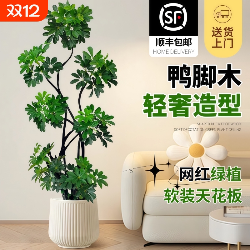 网红造型好养耐活高级感客厅室内大型盆栽四季常青常绿绿植