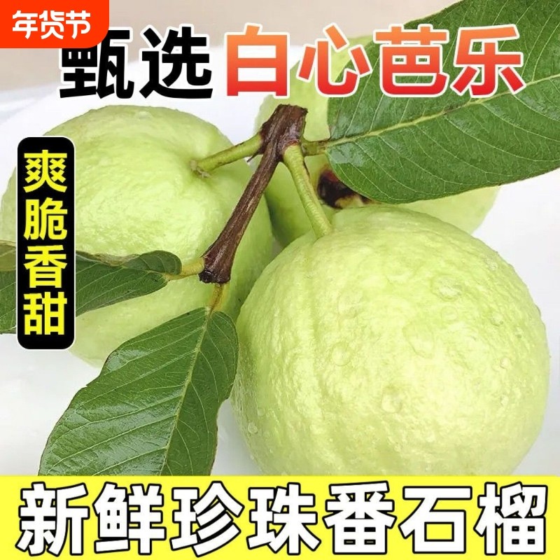 正宗脆口芭乐白心番石榴水果现摘当季新鲜老树清爽脆孕妇果园,水产肉类/新鲜蔬果/熟食,番石榴/芭乐,淘宝优惠券,粉丝福利购,淘宝优惠卷