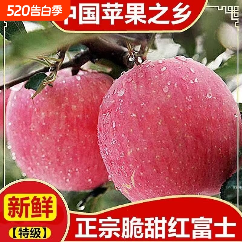 包脆甜正宗红富士苹果当季新鲜水果冰糖心丑苹果一整箱批发价大果