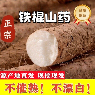 正宗温县垆土铁棍山药5斤新鲜