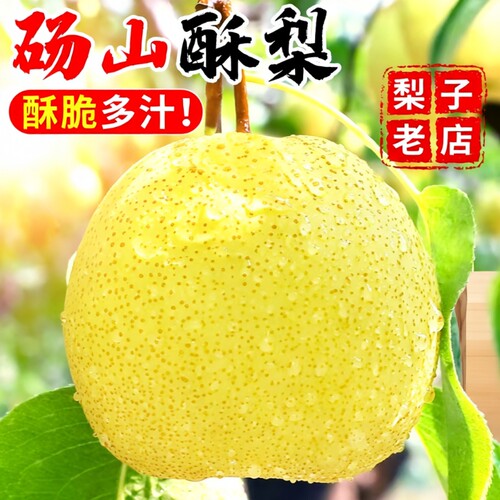 砀山酥梨10斤整箱|超5000次加购