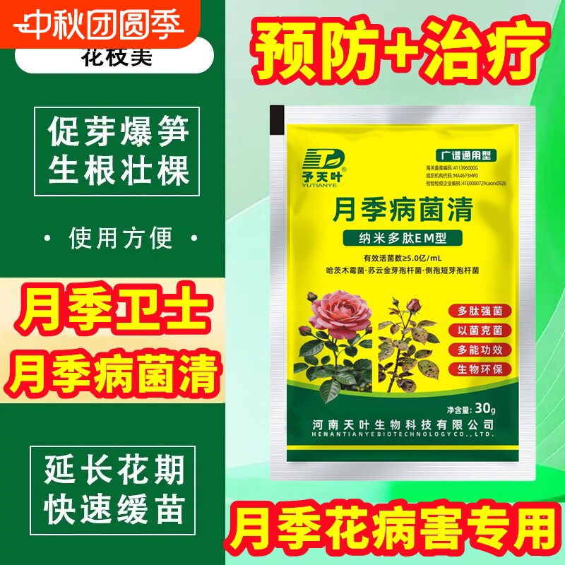 月季花黑斑病专用药多肉蔷薇玫瑰兰花常用药多菌菌灵白粉病杀菌剂图片
