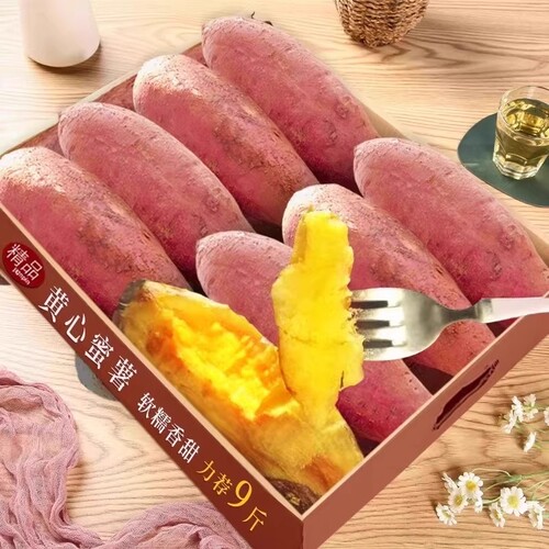 严选沙地龙九蜜薯红薯番薯糖心新鲜黄心山芋农家自种板栗粗粮地瓜