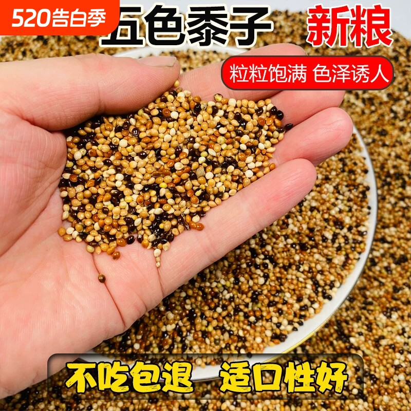 鹦鹉鸟粮饲料虎皮玄凤牡丹鸟食带壳黄谷子五色黍子小米混合专用粮