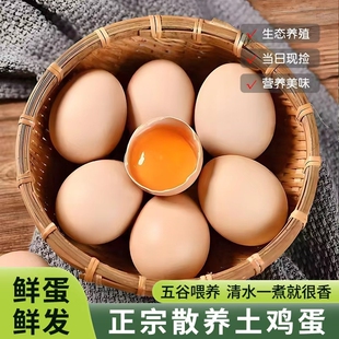 深山林地散养土鸡黄心蛋喂养土鸡蛋孕妇儿童营养鲜鸡蛋新鲜五谷