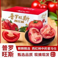 泾阳正宗陕西普罗旺斯水果西红柿