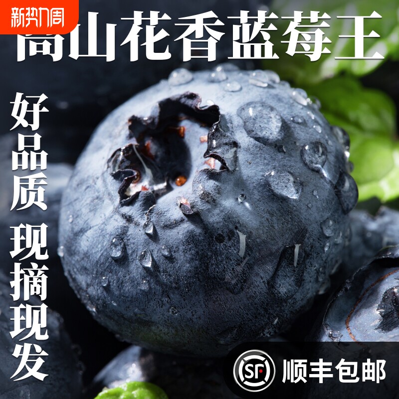 云南蓝莓新鲜水果当季鲜果现摘高山怡颗孕妇大果整箱包邮优选美味
