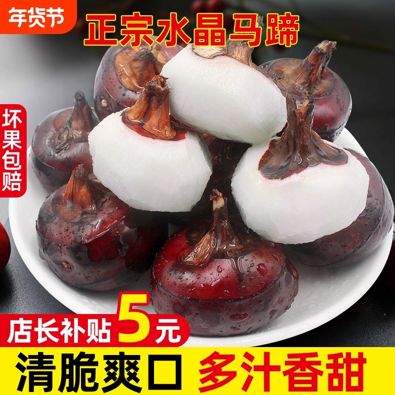 现挖正宗农家安徽新鲜水果马蹄荸荠荔浦5蔬菜饽荠包邮大果,水产肉类/新鲜蔬果/熟食,荸荠/马蹄,淘宝优惠券,粉丝福利购,淘宝优惠卷