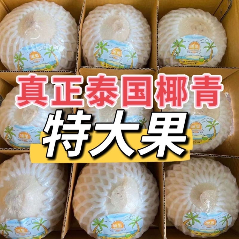 泰国进口椰青泰国椰子原装进口香水奶香椰青大果新鲜到货孕妇水果