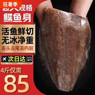 鲽鱼新鲜冷冻碟鱼身非格陵兰特大比目鱼蝶中段整条深海鸦片鱼鱼段