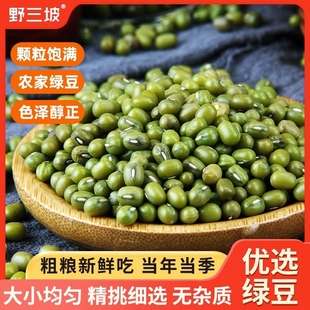 粗粮健康新货 散装 野三坡东北绿豆罐装 新鲜农家颗粒绿豆粥当季