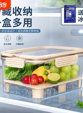 手提便携冰袋保鲜盒双层冰箱保鲜盒瓜果蔬菜保鲜盒户外野冰箱密封