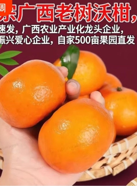 沃柑当季新鲜老树花皮水果广西果园薄多汁香甜沃柑口口爆汁的鲜果