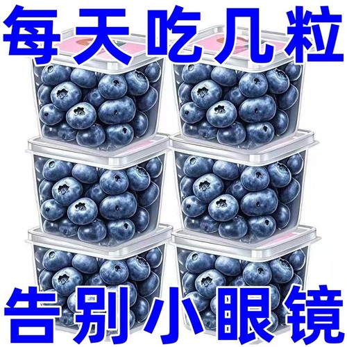 特级蓝莓干梅类制品果干非特级野生蓝莓果干东北特产蓝梅原味烘焙