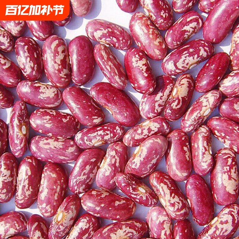 红花豆精选红饭豆农家红花芸豆四季豆杂粮农家自产新货