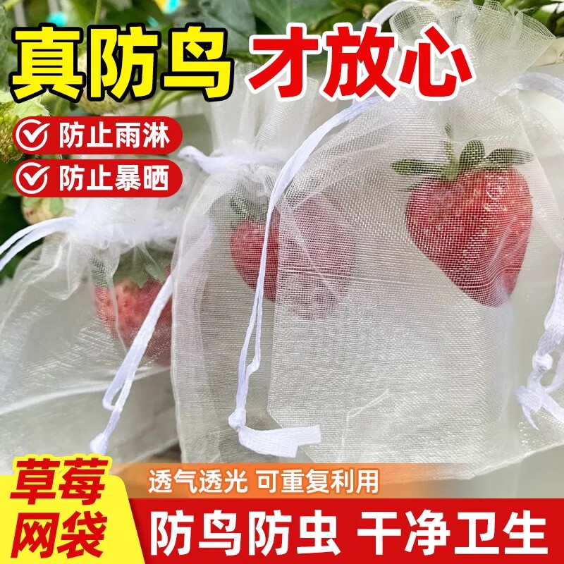 草莓套袋托果网防虫水果专用蓝莓枇杷防护袋防鸟透气防污袋种植