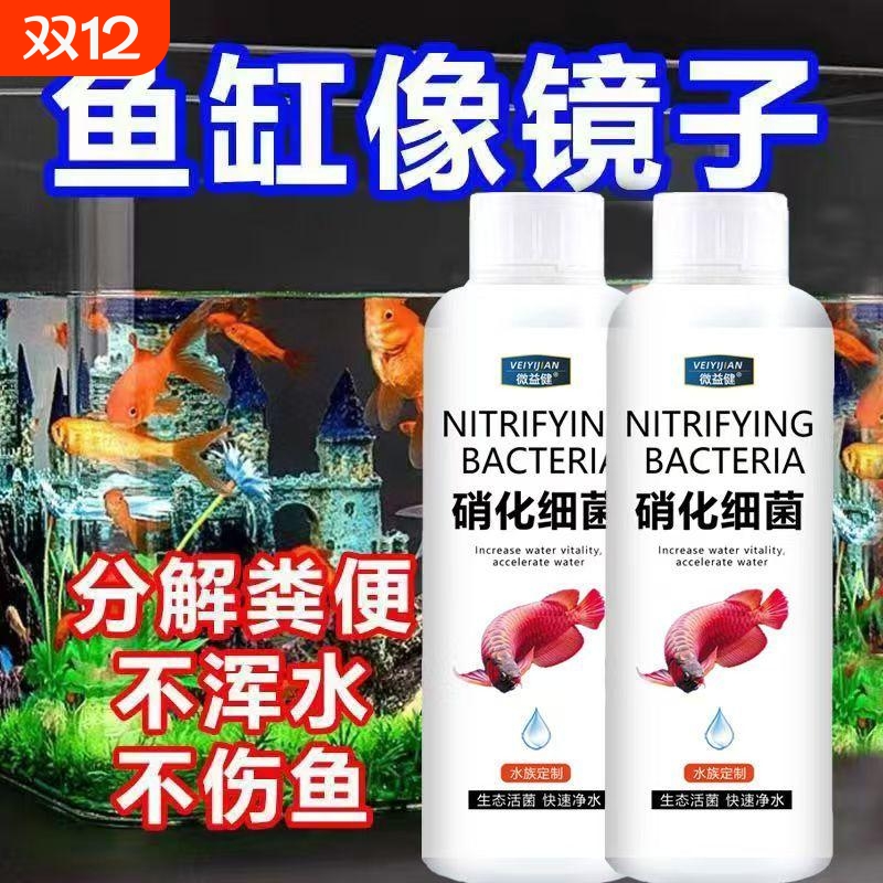 净化水质鱼缸去除腥味