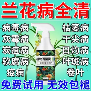 兰花专用杀菌药肥料黄叶焦尖黑斑病专用药营养液多箭素X养花腐病