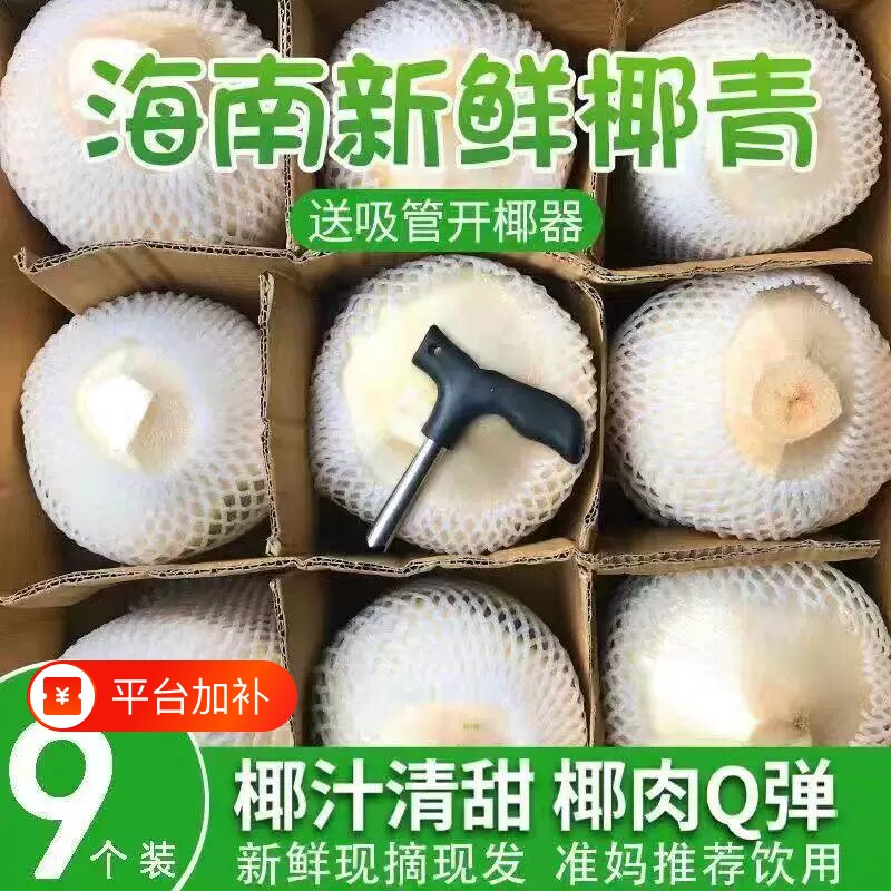海南文昌椰青新鲜椰子整箱当季水果去皮青椰包邮椰子水现摘现发