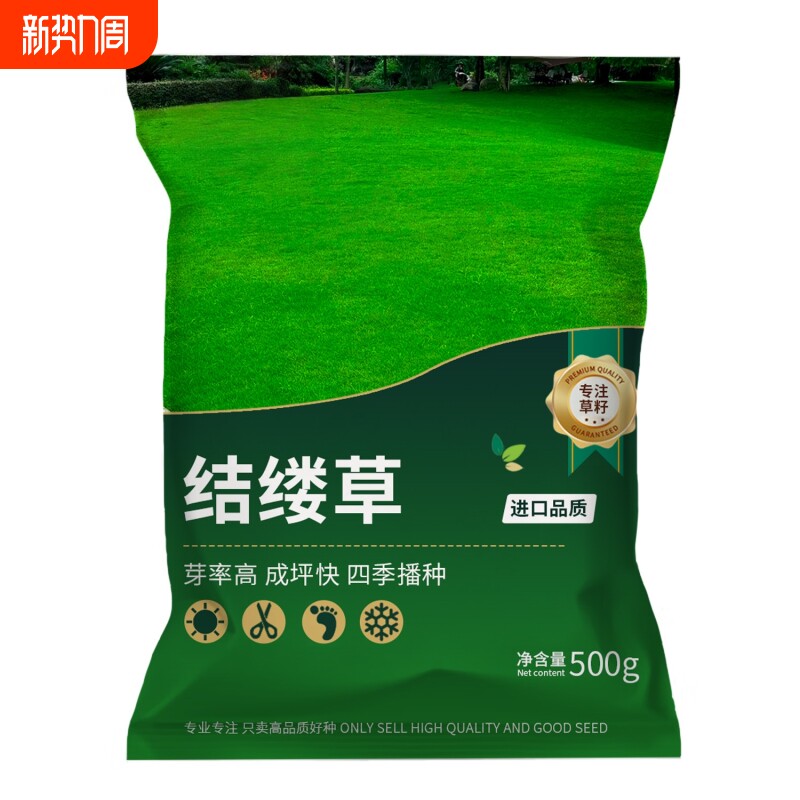 结缕草草籽高档草坪种子中华结缕草日本结缕草庭院四季常青草种子