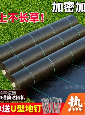 果树防草布耐用园艺地布遮草布盖草布地布隔草布果园防草长地膜