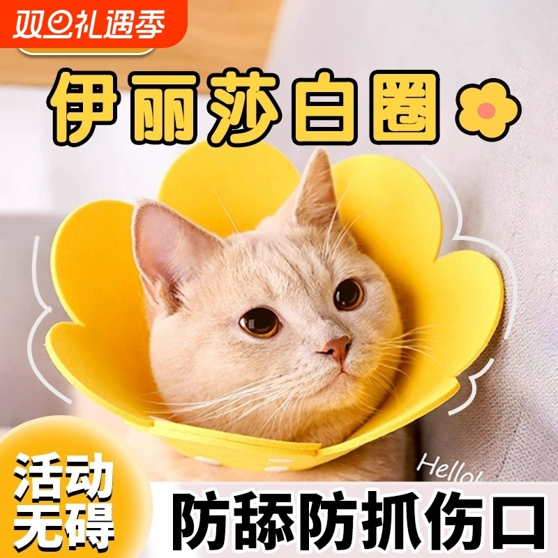 【猫咪伊丽莎白圈】绝育项圈伊利沙白圈防舔颈圈头套狗狗宠物脖圈