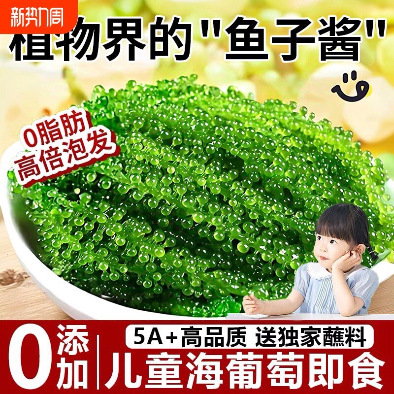 海葡萄新鲜即食泡发盐渍蔬菜鱼子酱海藻儿童宝宝健康海味爆珠好吃