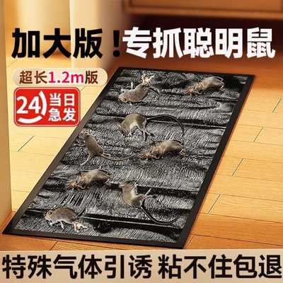 【全网爆卖100W+】捕鼠粘鼠神器