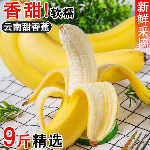 云南新鲜甜糯高山香蕉新鲜水果