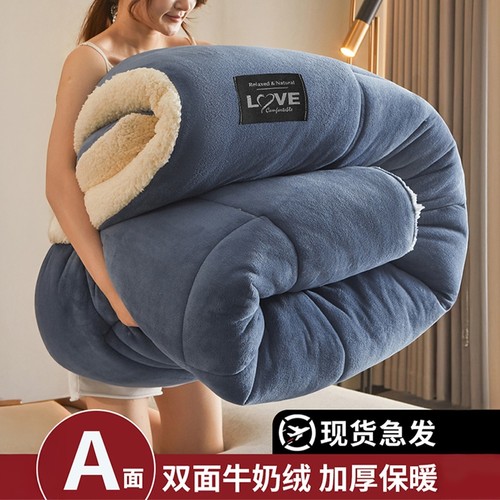 羊羔绒被子2025新款冬季棉被被芯冬天单人宿舍秋冬被加厚保暖10斤
